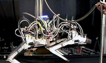 One of DARPA's creations, the M3 "Cheetah" Robot