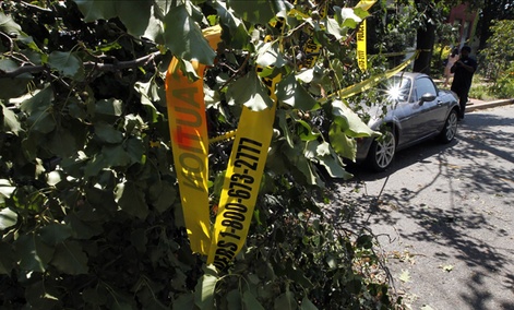 Trees were uprooted in the Washington, DC area over the weekend including this one on Capitol Hill.