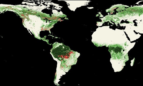 Landsat satellites show worldwide forest losses, marked in red, from 2000-2005.   
