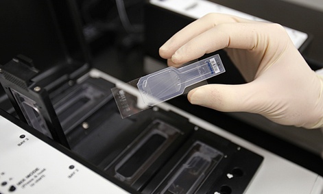 A slide prepared for testing for biological hazards.