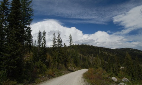 The Forest Service owns and manages many national forests, including Montana's Lolo National Forest .