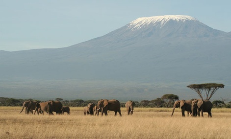 Tanzania's Mount Kilimanjaro is one of the peaks photographed by Google's Street View.