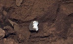 The "Tintina" rock Curiosity cut through in its travels