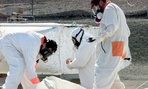 Workers measure for radiation and toxic vapors at the Hanford Nuclear Reservation near Richland, Washington.