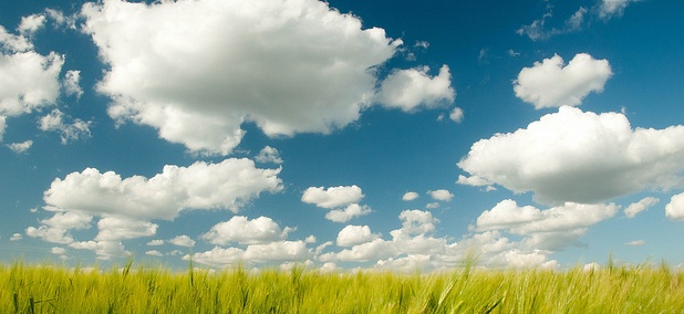 Flickr user: theaucitron