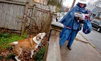 U.S. Postal Service letter carrier of 12 years, Jamesa Euler, encounters a barking a dog while delivering mail in Atlanta.