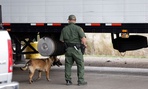 A Customs and Border Patrol agent and a security dog keep watch at a checkpoint in Falfurrias, Texas.