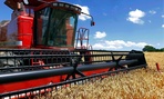 Illinois farmer Jacob Hermes uses a combine to harvest his winter wheat crop.