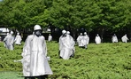 The Korean War Memorial is located in Washington, DC.