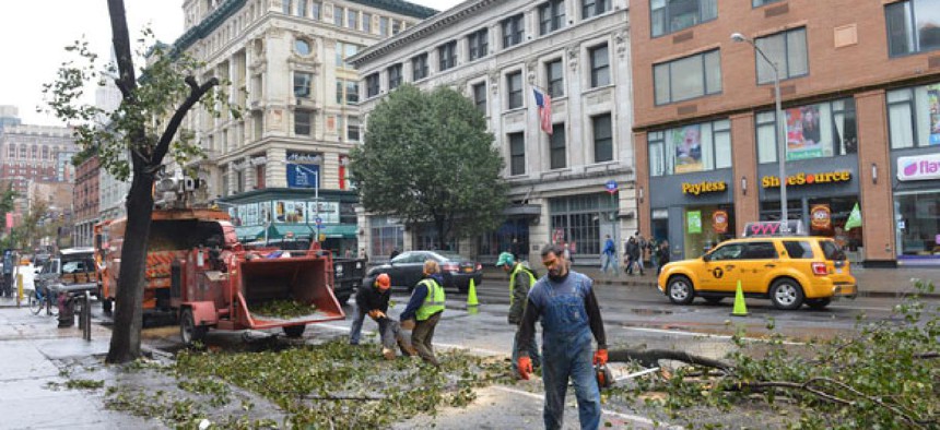 Sandy took down trees in New York in the fall.