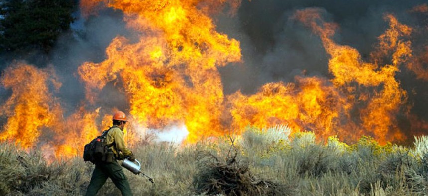 Daniel Fawcett of the U.S. Forest Service sets a back-fire to combat a wildfire in Wrightwood, Calif. in 2009.