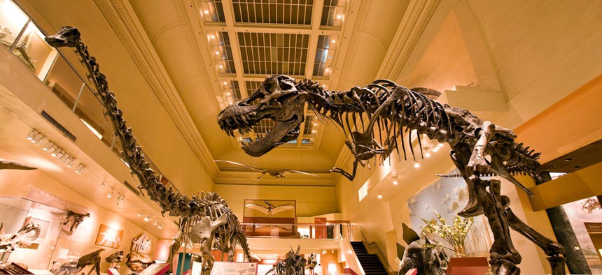 The Dinosaur Hall at the Smithsonian's Museum of Natural History. 