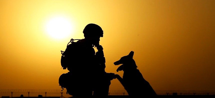 A soldier and military working dog, in Afghanistan. 