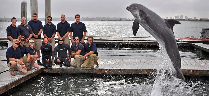Members of the code 715 Marine Mammal Team at Space and Naval Warfare Systems Center Pacific, in San Diego.