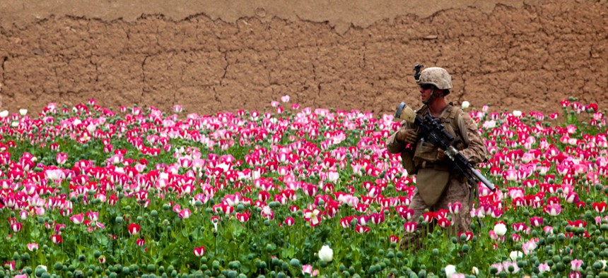 A marine patrols a poppy field in Sangin, Afghanistan.