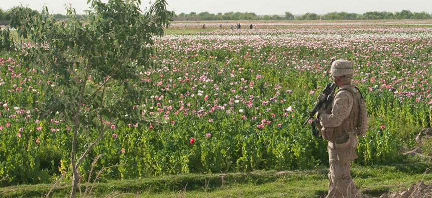 A U.S. Marine patrols a poppy field in the Helmand province of Afghanistan. 
