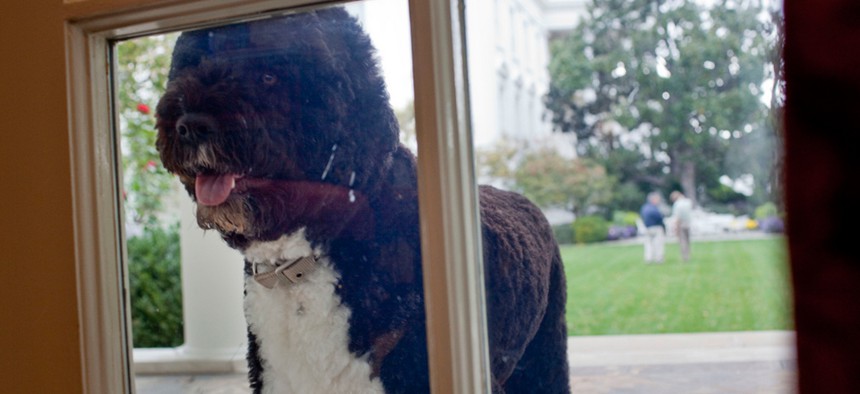 The president can always walk his own dog, Bo. 
