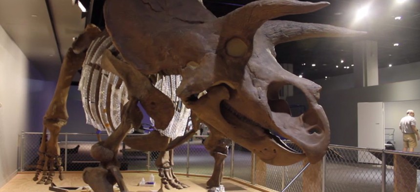 The NMNH new dinosaur exhibit is recently opened.