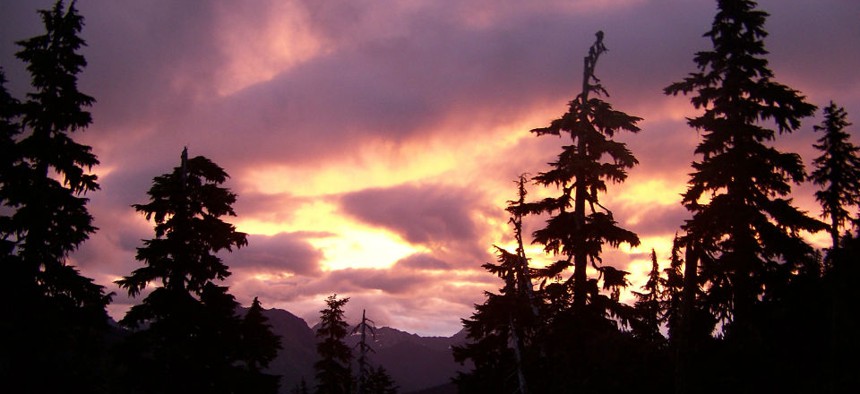 Sunset in Olympic National Forest in Washington state. 