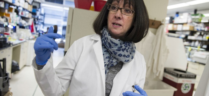 Dr. Nancy Sullivan, chief of the Biodefense Research Section in NIH's Vaccine Research Center, was one of the first employees profiled, in recognition of her work developing the first Ebola vaccine found to be effective in monkeys. 