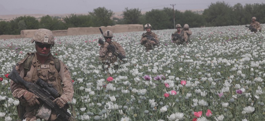 Marines patrol in a poppy field in Afghanistan in 2012.