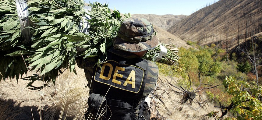A Drug Enforcement Administration agent shoulders a bundle of marijuana plants down a steep slope  in 2005.