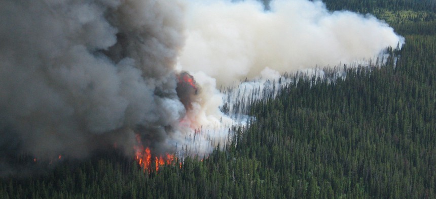 The Packer Meadows Fire on the Lolo National Forest in 201.