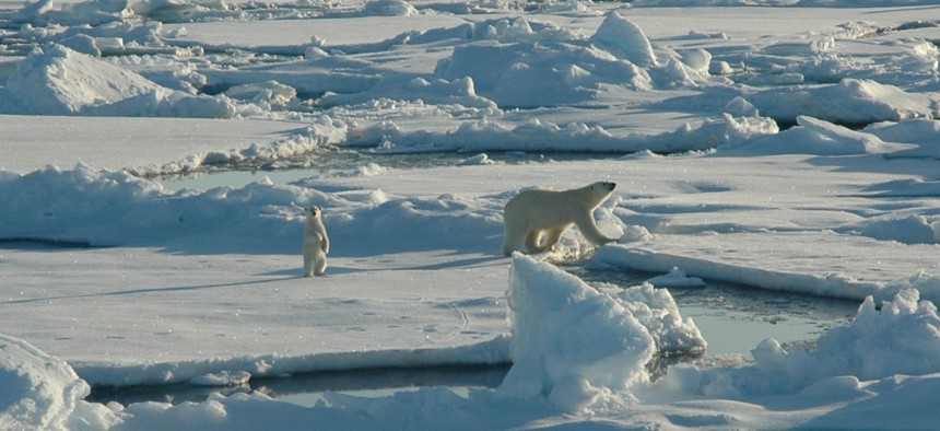 A polar bear and her cub walk along ice floes in the Arctic Circle in 2005.