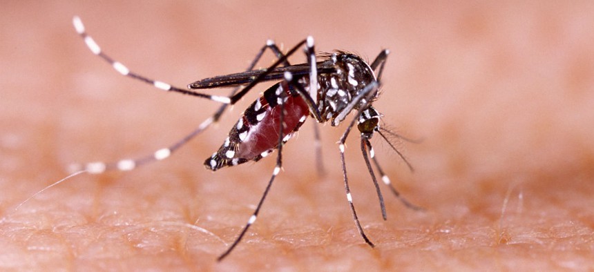 The Zika virus can be carried by mosquitoes.