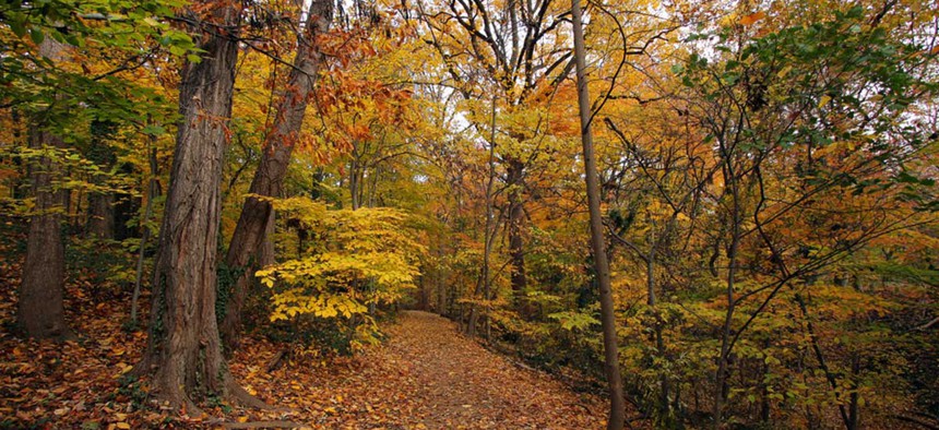 Rock Creek Park in D.C. is pictured.