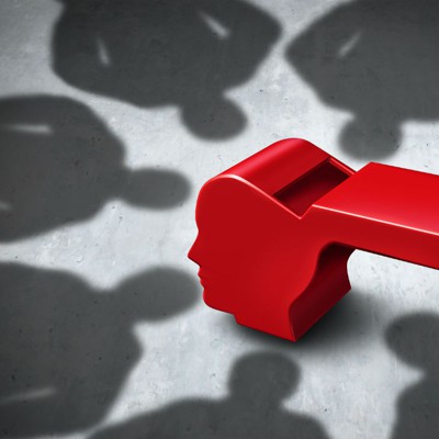 government contractor watchdog reports