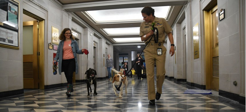 Employees at Interior Department headquarters in May on the department's first Bring Your Dog to Work Day.