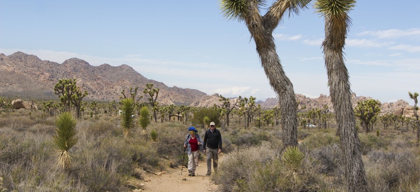 Hikers walk the Ryan Ranch Trail at Joshua Tree National Park, one of the parks affected by the proposed fee increase.
