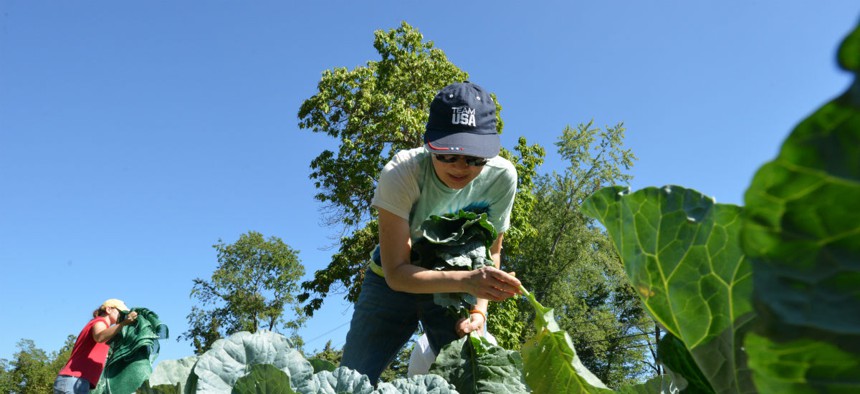 Economic Research Service employee Dina Li is shown volunteering at a farm in Clinton, Md., in this 2015 photo.