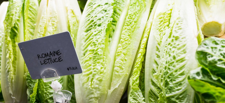 Last year's E. coli contamination was largely due to tainted romaine lettuce.