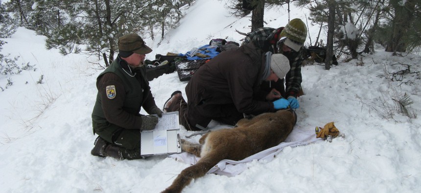 Ongoing wildlife studies are one kind of federally funded research that’s sidelined during a shutdown.