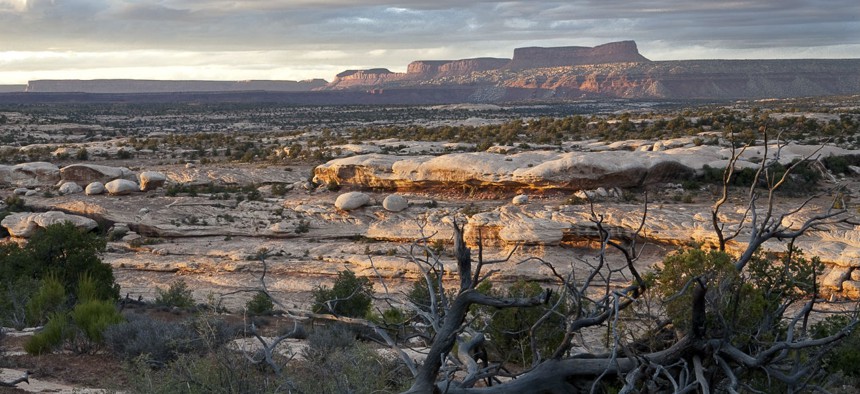 The Interior Department plans to relocate the Bureau of Land Management's headquarters to Grand Junction, Colorado, near McInnis Canyons National Conservation Area, above. 