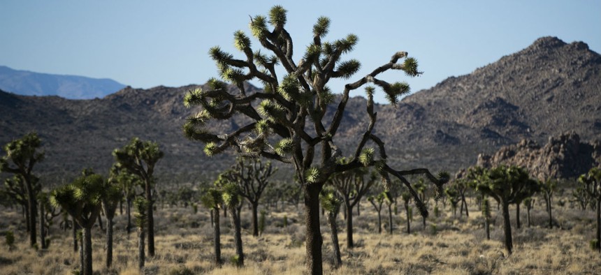  Joshua Tree National Park was one of the parks the Trump administration kept open during the shutdown. 