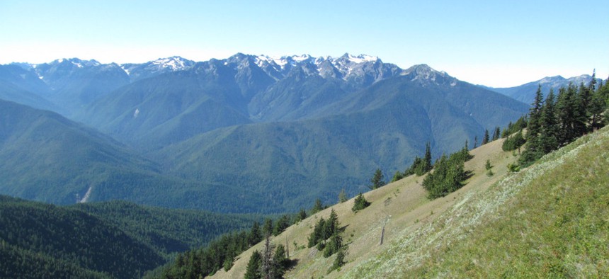 The learning center at Olympic National Park was offering $20,000 weekend wedding packages. 