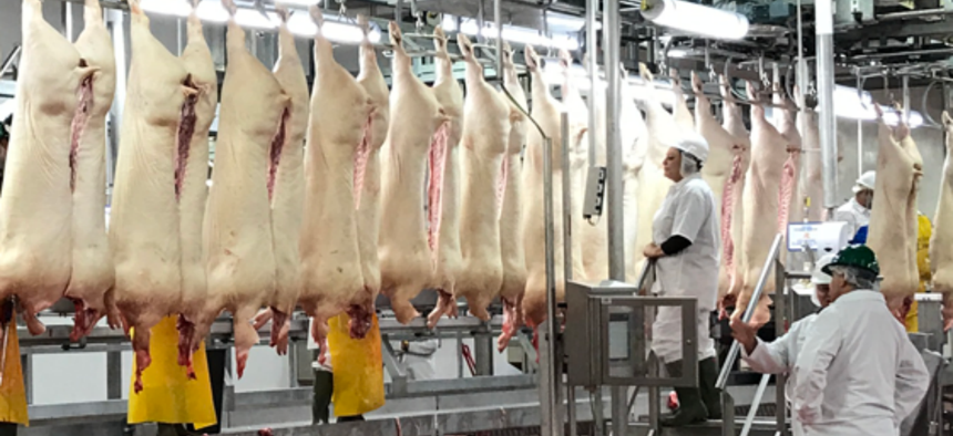 New pork slaughter rules will reduce the number of federal inspectors on processing lines, and instead will rely more on plant employees to spot problems.