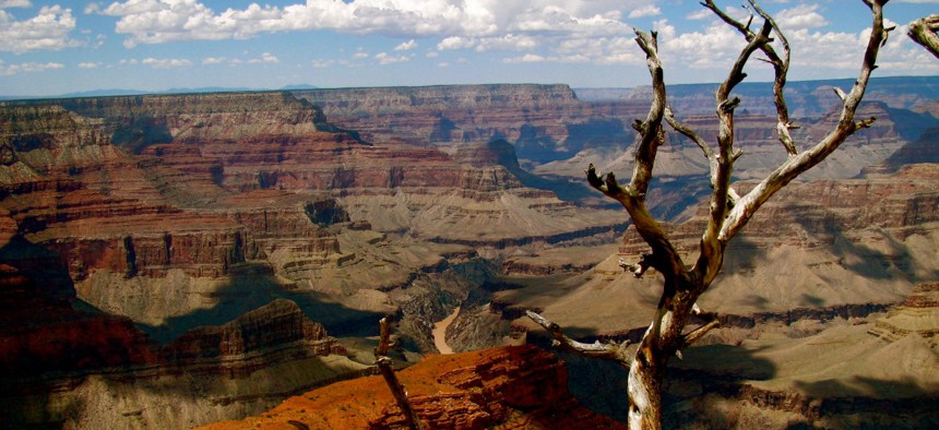 The Grand Canyon National Park is closed, but not all parks are. 