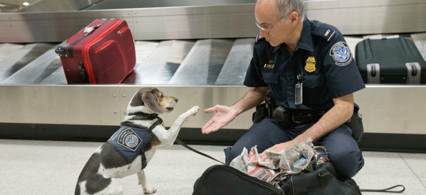 U.S. Customs and Border Protection agriculture specialist James Silverio gives his dog Millie a high five after Millie found some agricultural products in a suitcase at Miami International Airport.