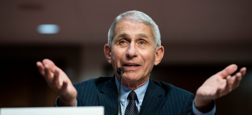 Director of the National Institute of Allergy and Infectious Diseases Dr. Anthony Fauci testifies on Capitol Hill on June 30. 
