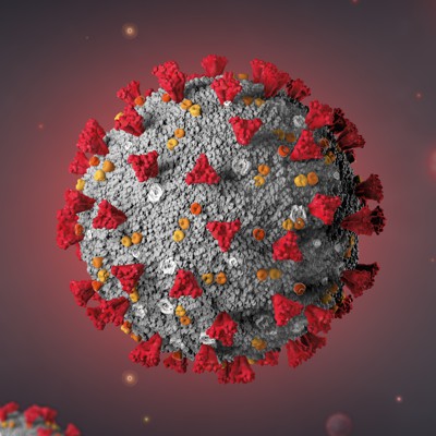 COVID-19 Vaccine Makers Are Looking Beyond the Spike Protein - Vimarsana News