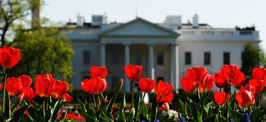 The White House is pictured in the background as tulips are seen in full bloom at Lafayette Park in Washington, D.C. on April 6, 2010. 
