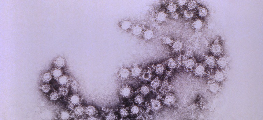 An image of the polio virus under a microscope .