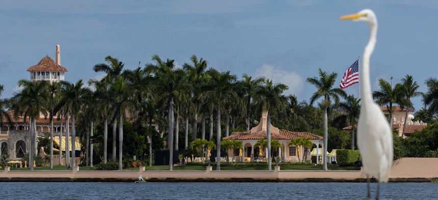 A great egret stands near former President Donald Trump's Mar-a-Lago resort on February 11, 2022 in Palm Beach, Florida.