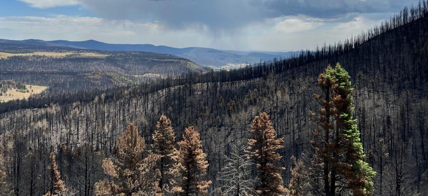  The burn scar of the Hermits Peak-Calf Canyon fire pictured Thursday, June 9, 2022. 