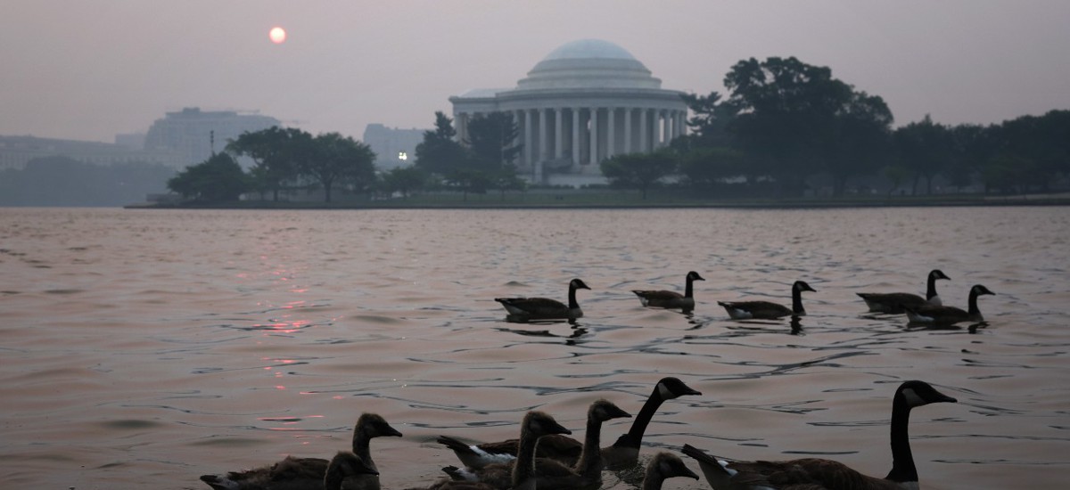 A flock of geese swim in front of the Thomas Jefferson Memorial as in hazy smoke covers Tidal Basin on June 8 in Washington, D.C.