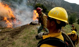 U.S. Forest Service firefighters in the Angeles National Forest burn piles of forest debris below Mt. Baldy on Nov. 29, 2023. Controlled burns are part of the service's forest management practices. 